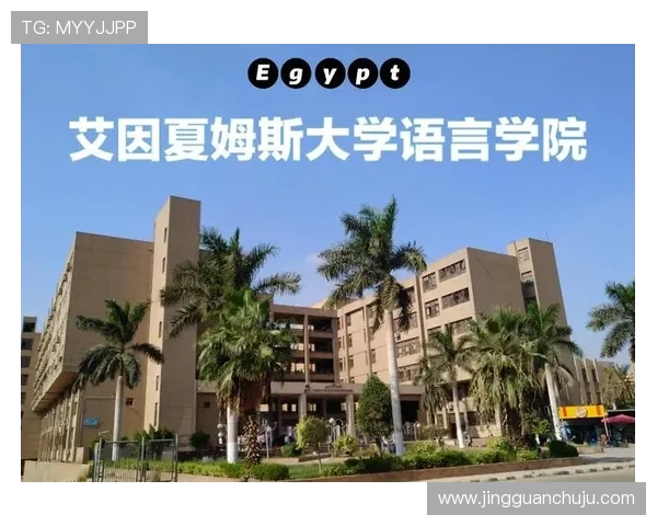 重庆篮球队的成长之路：从青涩到辉煌的纪实故事